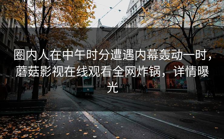 圈内人在中午时分遭遇内幕轰动一时，蘑菇影视在线观看全网炸锅，详情曝光