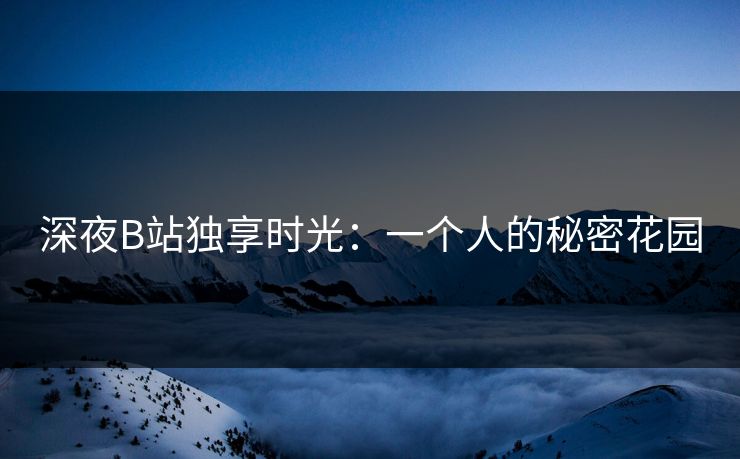 深夜B站独享时光：一个人的秘密花园