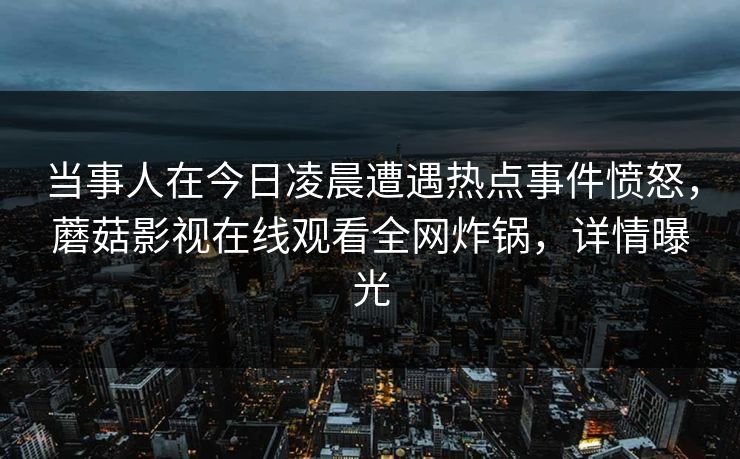 当事人在今日凌晨遭遇热点事件愤怒，蘑菇影视在线观看全网炸锅，详情曝光